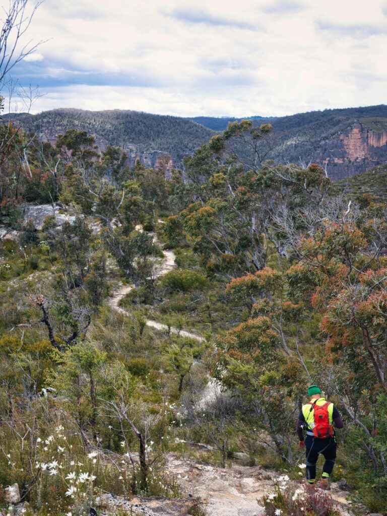 A man hiking on a wilderness trail in Blue Mountains National Park, NSW.